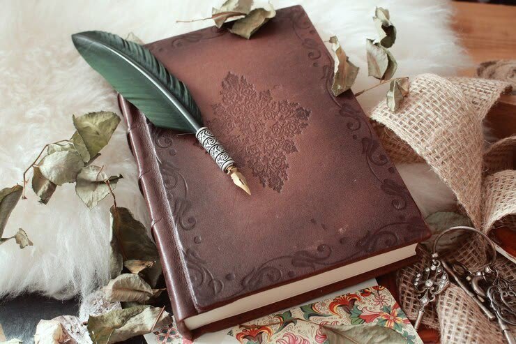 Novel